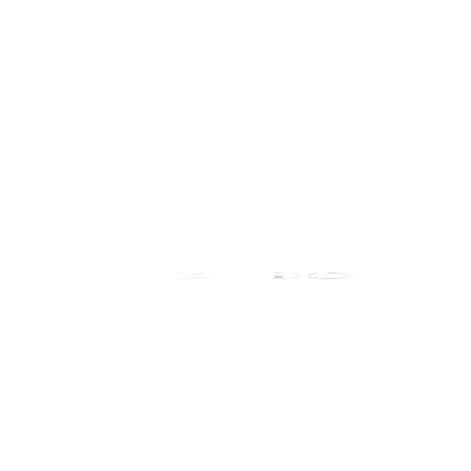 The Corporation